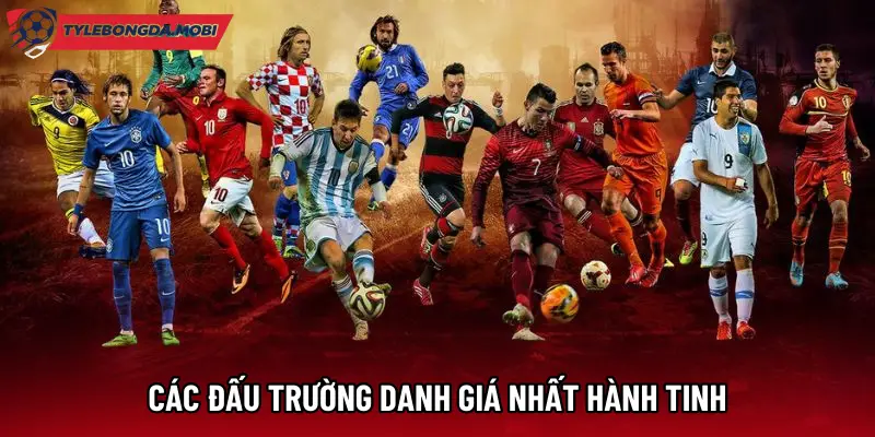 Các đấu trường danh giá nhất hành tinh