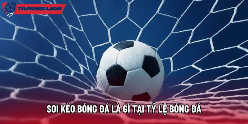 Soi kèo bóng đá là gì tại Tỷ Lệ Bóng Đá
