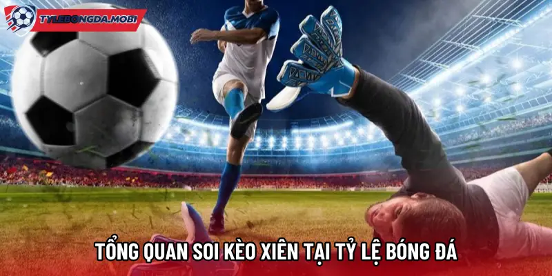 Tổng quan soi kèo xiên tại Tỷ Lệ Bóng Đá