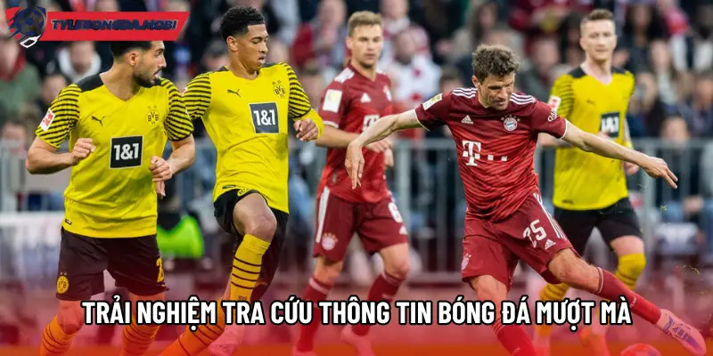 Trải nghiệm tra cứu thông tin bóng đá mượt mà