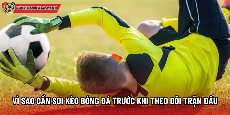 Vì sao cần soi kèo bóng đá trước khi theo dõi trận đấu